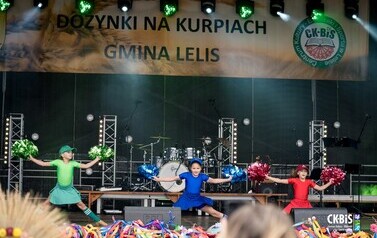 Dożynki - część rozrywkowa 279
