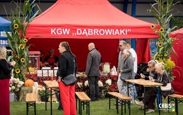 Dożynki - pasaż wystawienniczy 43