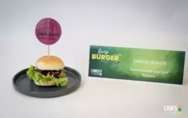 Kurp BURGER SMAKI ŚWIATA - 7 czerwca 2025 r. 85